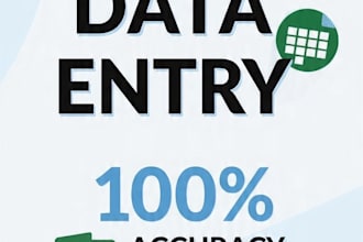do manual data entry, excel work and copy paste