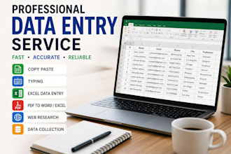 do accurate data entry, copy paste, excel data entry and web research