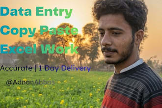 do fast data entry, copy paste, typing and excel work