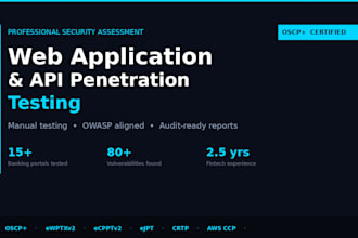 do a professional web application and API penetration test