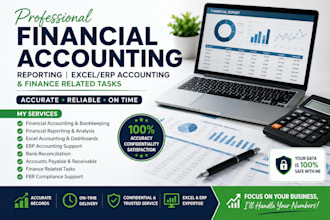 do financial accounting, reporting, finance related tasks