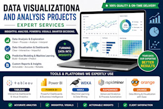 create end to end data analysis and data visualization projects