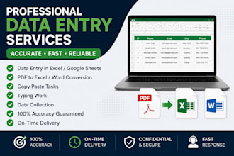 do accurate data entry, excel data entry, copy paste and PDF conversion