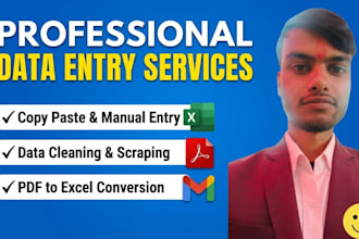 convert PDF to excel and clean the data professionally
