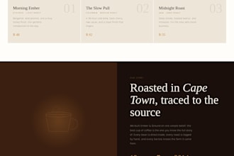 build a custom coded responsive website for you
