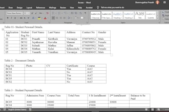 do professional data entry, copy paste work, and excel data entry