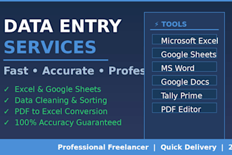 do accurate data entry and excel spreadsheet work