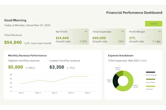 analyze business data and deliver strategy decisions and future growth plan