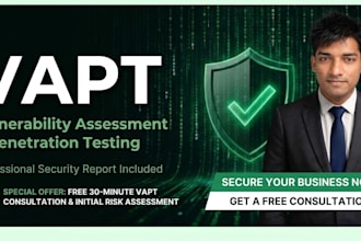 do professional vapt and pentest on website