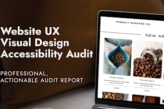conduct a professional UX UI and accessibility website audit