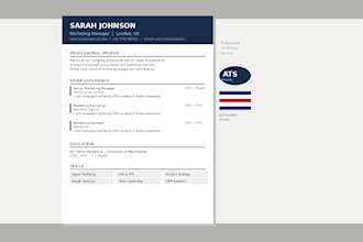 write a professional CV for your UK job application