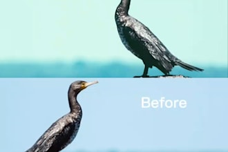 professionally retouch and color grading your photos