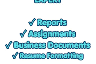 professionally format, edit and fix word documents