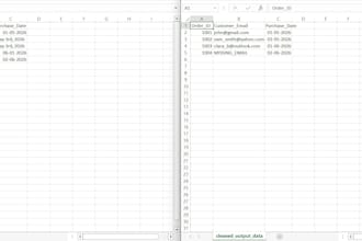 write python scripts for data cleaning and excel automation