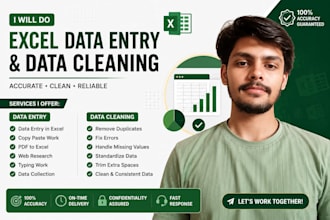 do fast data entry and data cleaning