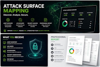 perform attack surface mapping and asset discovery