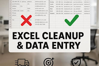 do excel data entry, cleanup, formatting and organizing