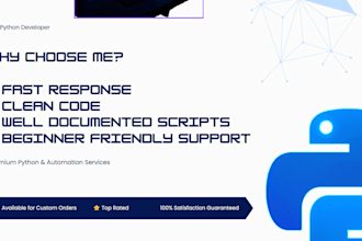 do python programming, debugging and automation tasks