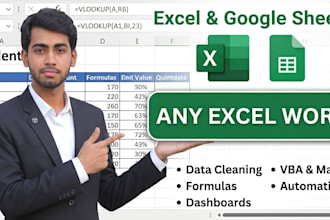 do your excel tasks like data entry, cleaning, formula, lookup