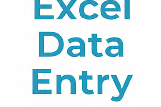 excel data entry and spreadsheet cleanup