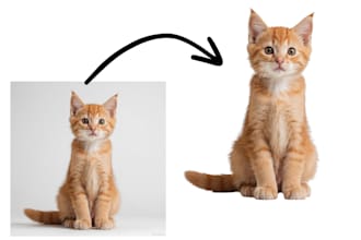 remove background from your product images professionally