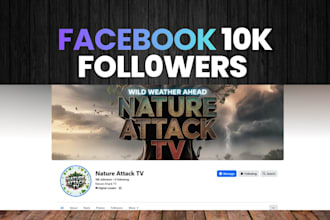 improve your facebook page branding and performance