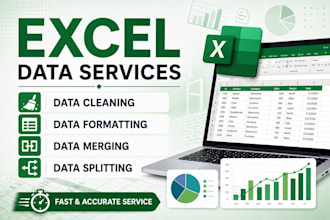be your virtual assistant for data entry, data cleaning