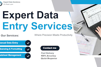 do microsoft excel data entry and web research