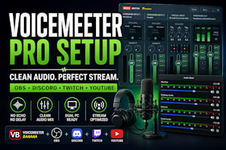 configure voicemeeter banana professionally