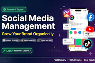 manage your instagram and facebook with a custom content strategy