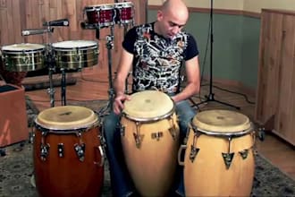 record percussion, congas, bongos, tabla, djembe and electronic drums