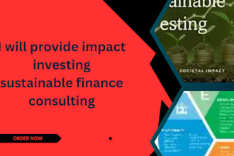 provide impact investing sustainable finance consulting