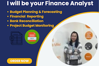 provide financial analysis, budget planning, financial reporting