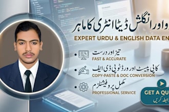 do fast and accurate urdu and english data entry