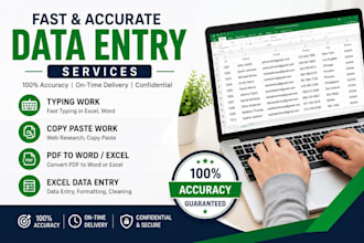 do accurate data entry, copy paste and typing work