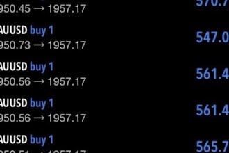 offer forex trading bot, forex bot, forex trading bot, forex trading bot