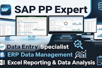 do sap pp data entry, erp data management, and excel report
