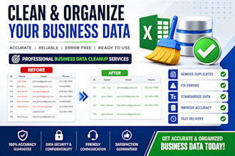 do business data cleanup, data cleansing, data formatting database accuracy