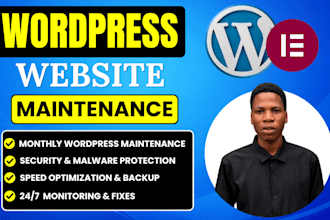 do monthly wordpress maintenance and wordpress support