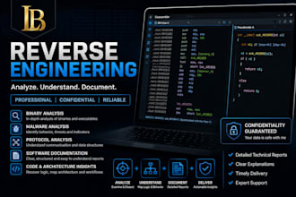perform professional reverse engineering and software analysis