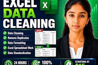 do excel data cleaning, formatting and spreadsheet work