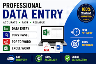 do data entry, copy paste, typing and excel work professionally
