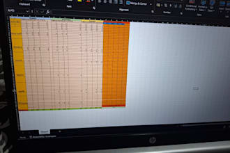 do fast and accurate data entry and excel work