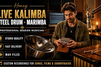 record, kalimba, thumb piano, steel drum and marimba for your project
