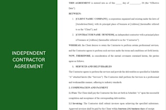 provide professional contract drafting and review