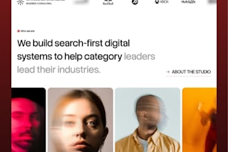 develop modern websites for marketing agencies