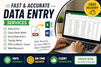 do accurate data entry copy paste excel and word tasks