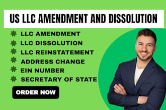 handle llc amendment, dissolution, and reinstatement filings in all state