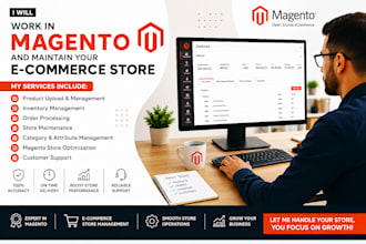 provide professional e commerce store management
