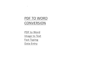 convert PDF to word and to accurate data typing